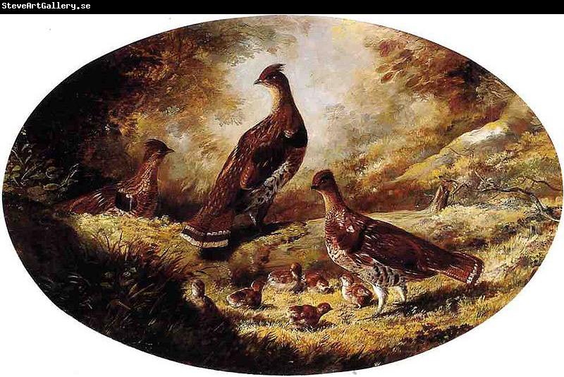 Ferdinand Richardt Grouse Family